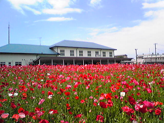 横須賀線終着駅