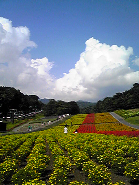 玉原高原